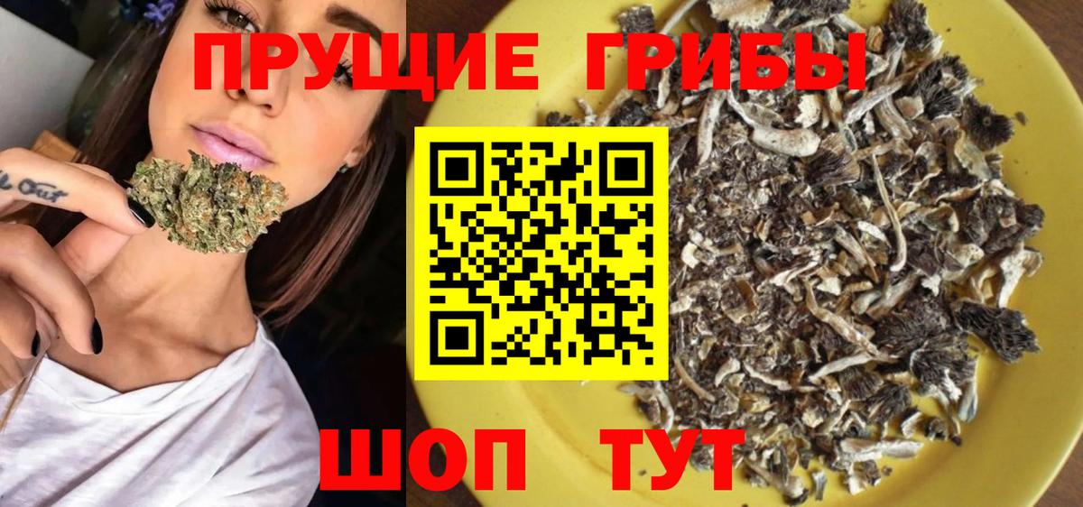 Псилоцибиновые грибы ЛСД Подольск